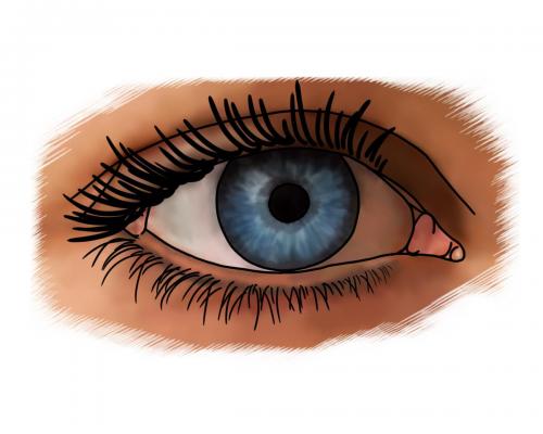 Eye 1