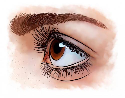 Eye 2