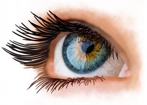 Eye 3