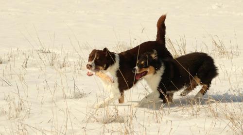 Georgia & Hiro (running)