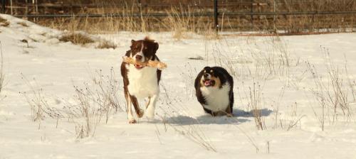 Georgia & Hiro (running)