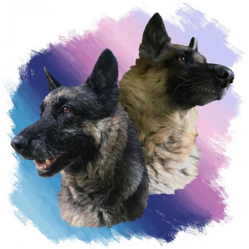 Kai & Echo