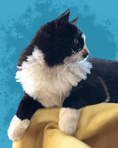 Kitty